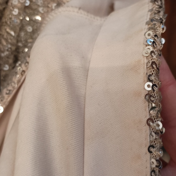 💥 Closet Closing Sale 💥 Calvin Klein Champagne Sparkle Dress Long Sleeve - Picture 5 of 8